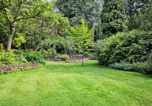Optimiser l'expérience du jardin à Saint-Priest-la-Vetre